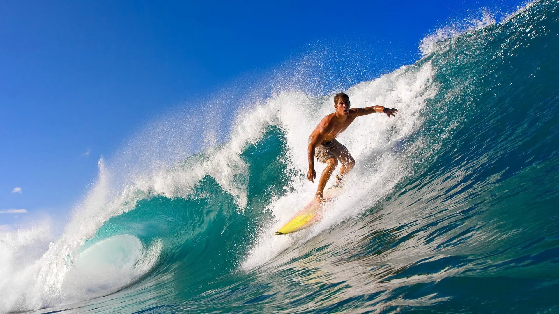 年度焦点之战之夜，字母哥关键回合不手软，诠释何为超级巨星