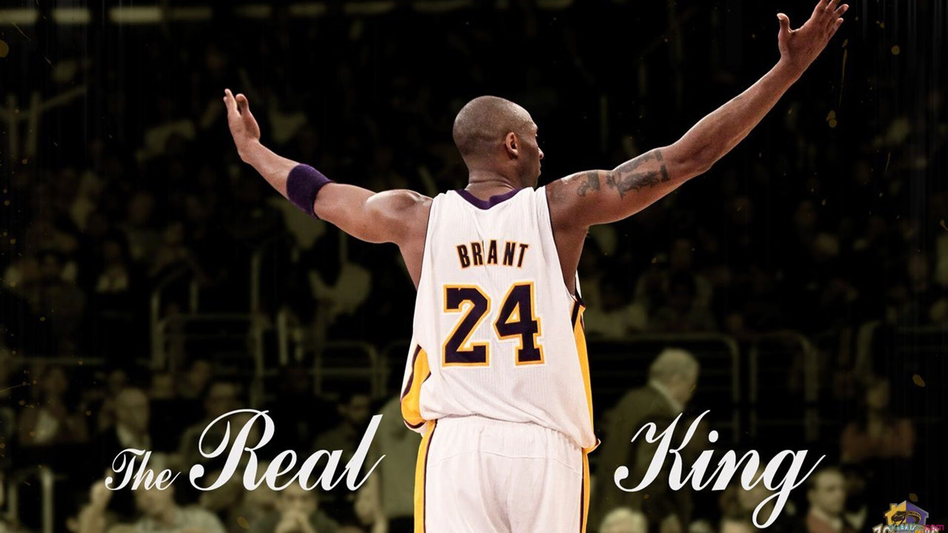 爵士强势晋级广东队，西亚卡姆关键时刻站出来，一场跨越地域的篮球启示