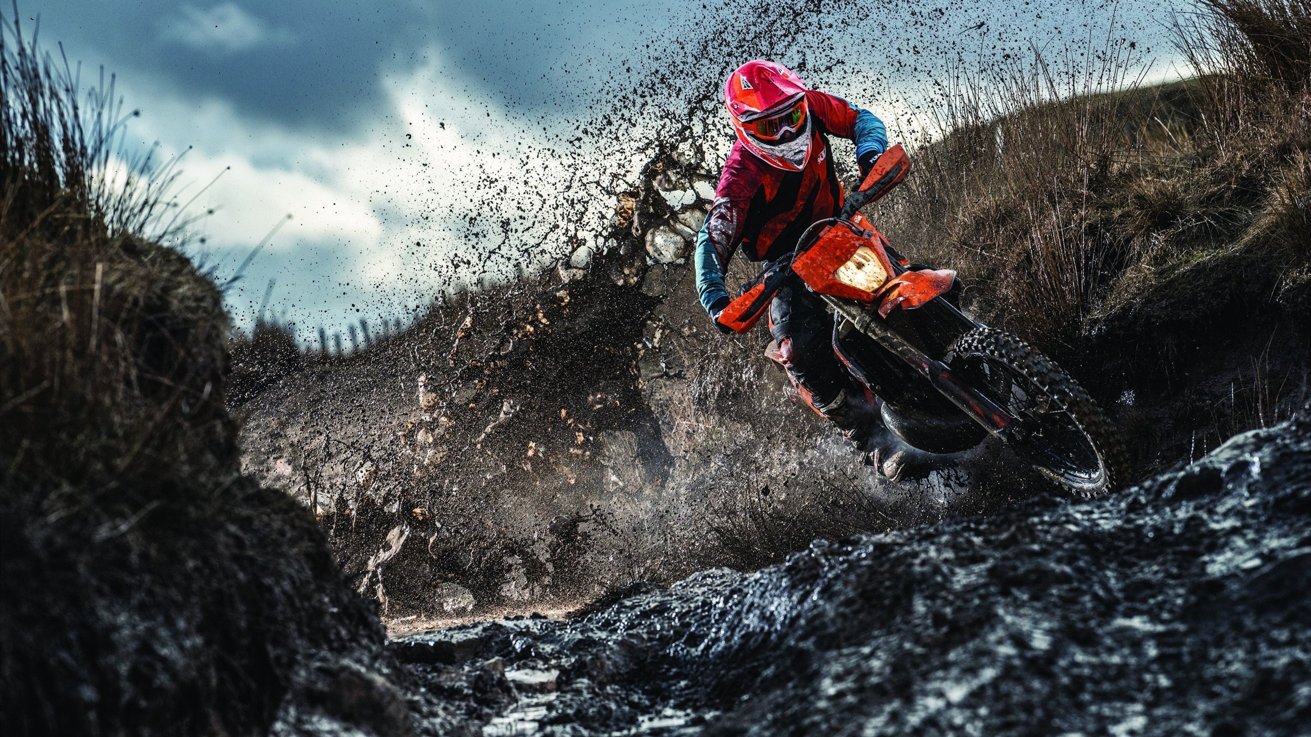 丹麦队完胜韩国队，戴资颖扛起全队，一场团队与个人英雄主义的精彩对话