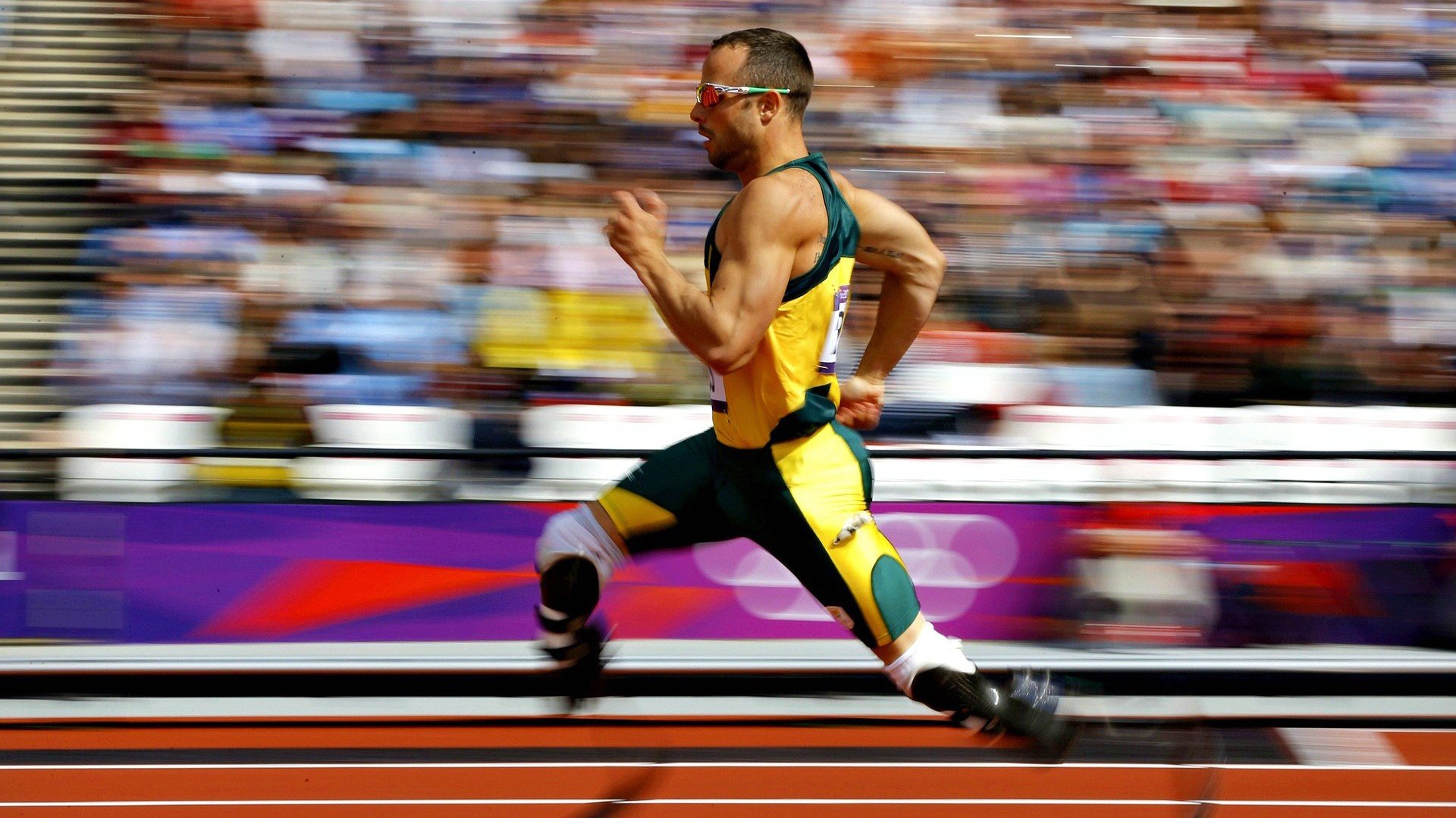 绝境中的王者,穆雷澳网险胜启示录,率队年终总决赛逆袭夺冠